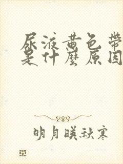 尿液黄色带泡沫是什么原因