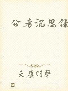 公考沉思录