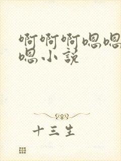 啊啊啊嗯嗯嗯嗯嗯小说