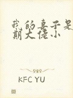 我的妻子是大乘期大佬小