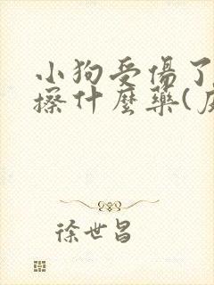 小狗受伤了最好擦什么药(皮外伤)