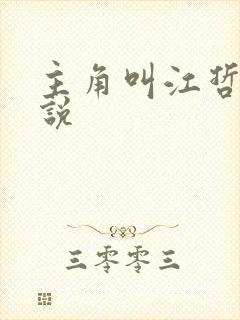 主角叫江哲的小说