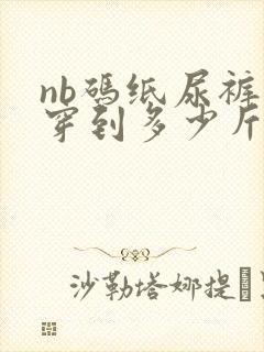 nb码纸尿裤能穿到多少斤