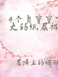 4个月宝宝穿多大的纸尿裤