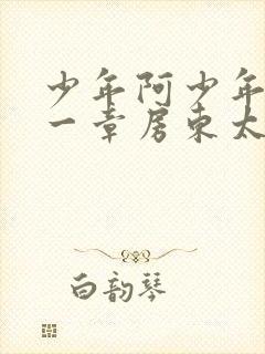 少年阿少年宾第一章房东太太