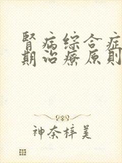 肾病综合症发热期治疗原则