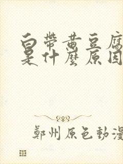 白带黄豆腐渣状是什么原因