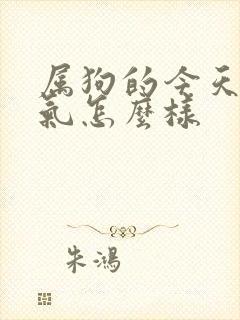 属狗的今天的运气怎么样