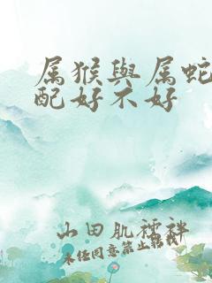 属猴与属蛇的婚配好不好