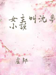 女主叫沈梦溪的小说