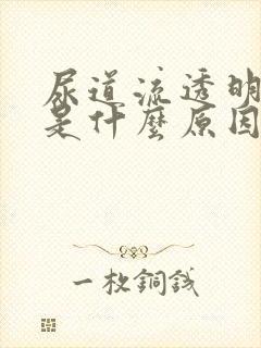 尿道流透明液体是什么原因