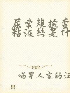 尿常规检查里的粘液丝是什么指标