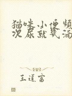 猫咪小便频繁每次尿就几滴