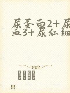 尿蛋白2+尿潜血3+尿红细胞高