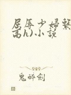 屈辱少妇系列(高h)小说