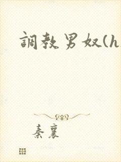 调教男奴(h)