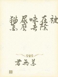 猫尿味在被子上怎么去除