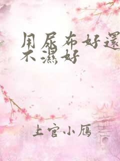 用尿布好还是尿不湿好