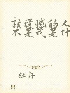 该遗憾的人是你不是我是什么歌