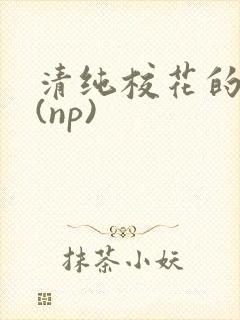 清纯校花的被*(np)