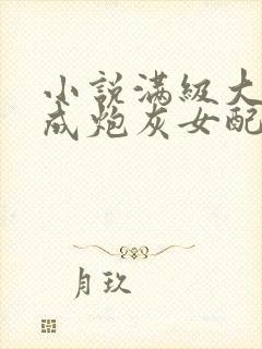 小说满级大佬穿成炮灰女配