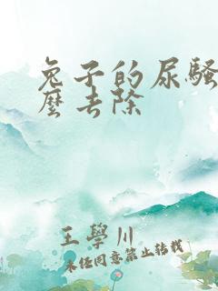 兔子的尿骚味怎么去除