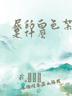 尿的白色絮状物是什么