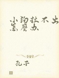 小狗拉不出粑粑怎么办