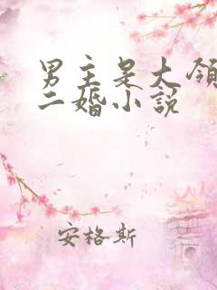 男主是大领导的二婚小说