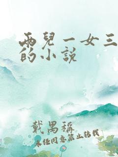 两儿一女三胞胎的小说