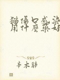 猫伤口感染化脓用什么药好得快