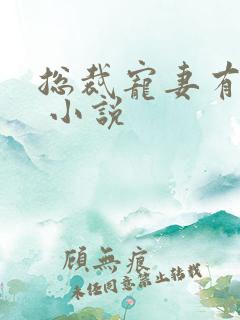 总裁宠妻有点甜 小说