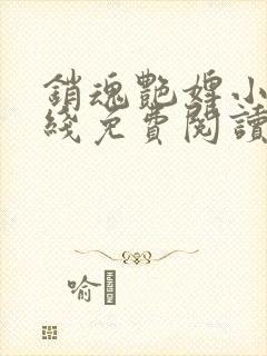 销魂艳婢小说在线免费阅读