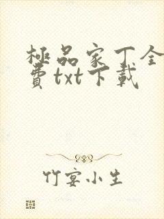 极品家丁全本免费txt下载