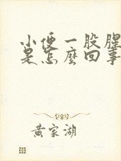 小便一股腥臭味是怎么回事