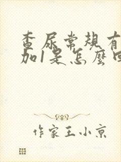 查尿常规有隐血加1是怎么回事