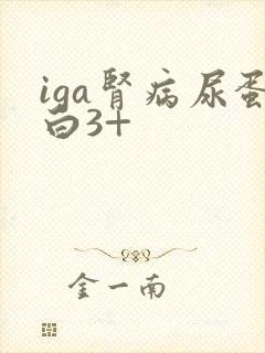 iga肾病尿蛋白3+