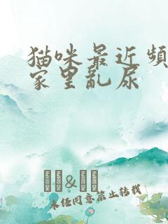 猫咪最近频繁在家里乱尿