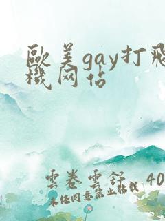 欧美gay打飞机网站