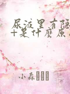 尿液里有隐血2+是什么原因