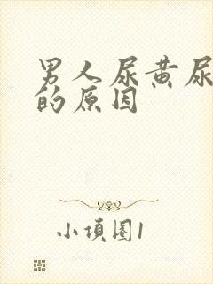 男人尿黄尿味骚的原因