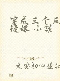 穿成三个反派的后娘 小说