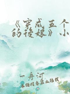 《穿成五个反派的后娘》小说