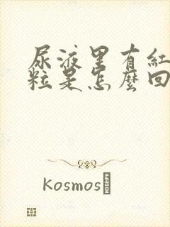 尿液里有红色颗粒是怎么回事