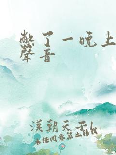 憋了一晚上的尿声音