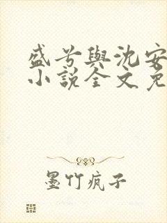 盛兮与沈安和的小说全文免费阅读