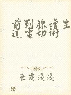 前列腺增生经尿道电切术