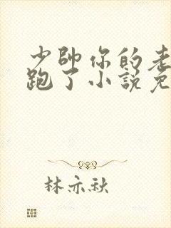 少帅你的老婆又跑了小说免费阅读