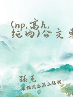(np,高h,纯肉)公交车