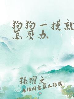 狗狗一摸就漏尿怎么办